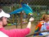 parrot-head-cleanup-2014-15